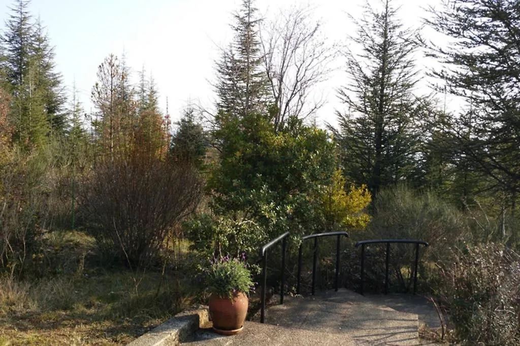 Villa La Lurette, Appartement Et Studio Saint-Étienne-les-Orgues